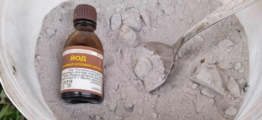 Подкормка рассады томатов