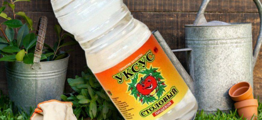 В огороде уксус применяют